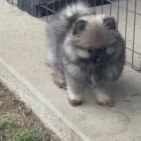 processed/05e8b22e-d3ef-4387-9468-f7a8ad74659f/facility/dc01a139-3c22-4dca-9a5a-c565b9ca08c7