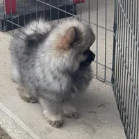 processed/05e8b22e-d3ef-4387-9468-f7a8ad74659f/facility/e6fdeeec-2665-40b7-8e11-663a901fd9f6