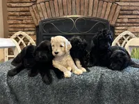 processed/05e8f084-8164-4aa3-b7a2-f5bfce55e418/facility/9be7b52e-300e-4c59-ade8-db8de43d2d64