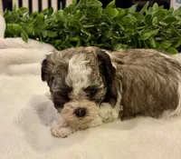 processed/05f44c1c-ab28-467a-9cfd-2c50eeeec8b9/listing/4151f7c2-af6a-48dc-b4f6-a9dbe13058a9/4238fda8-e621-46ee-8c48-2b7bccfc6200