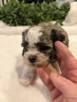 processed/05f44c1c-ab28-467a-9cfd-2c50eeeec8b9/listing/4151f7c2-af6a-48dc-b4f6-a9dbe13058a9/5307478b-5046-4166-a82a-dc2c610bc3c4