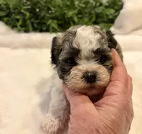 processed/05f44c1c-ab28-467a-9cfd-2c50eeeec8b9/listing/4151f7c2-af6a-48dc-b4f6-a9dbe13058a9/df03ec36-197c-4aca-b5c8-9835d0327f7b