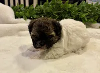 processed/05f44c1c-ab28-467a-9cfd-2c50eeeec8b9/listing/b0802bb8-221b-4f70-be31-509c4924f3d7/05a70ec1-37ac-40c9-9762-fe01105afdaa