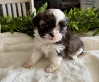 processed/05f44c1c-ab28-467a-9cfd-2c50eeeec8b9/listing/ecc665ff-4108-41e2-b6d2-2cb873c4bb4d/84b30dc2-dbc0-4329-9f7d-a63b93fc97b7