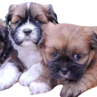 processed/05f6d46f-b14d-4c45-822f-3c882698373b/facility/2c3cda58-9202-4dbf-9912-55bdce8e111a