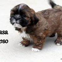 processed/05f6d46f-b14d-4c45-822f-3c882698373b/facility/317e01ed-b4c3-4c3d-a786-97547aaa6b8f