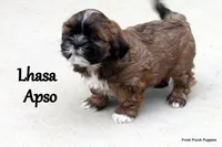 processed/05f6d46f-b14d-4c45-822f-3c882698373b/facility/317e01ed-b4c3-4c3d-a786-97547aaa6b8f