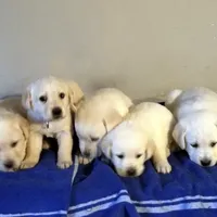 processed/05f6d46f-b14d-4c45-822f-3c882698373b/facility/703b49b2-f43f-4d7c-8151-f5a1b56bae38