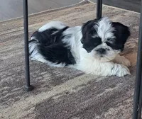 processed/05f6d46f-b14d-4c45-822f-3c882698373b/facility/7161675e-046a-4bf3-b1bb-8574b5301100