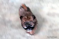 processed/05f6d46f-b14d-4c45-822f-3c882698373b/facility/9b18d3ac-a80f-462c-8009-939dbc02f1e2