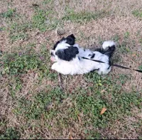 processed/05f6d46f-b14d-4c45-822f-3c882698373b/facility/ad741273-e644-4da5-9d49-e65463fda1d2