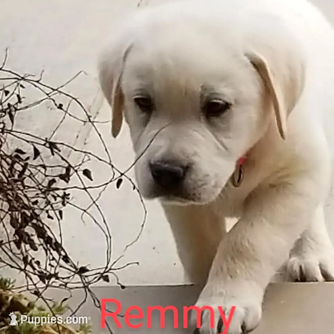 processed/05f6d46f-b14d-4c45-822f-3c882698373b/facility/c5c67ac5-1876-467c-87f0-4fce74b629c5