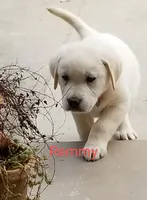 processed/05f6d46f-b14d-4c45-822f-3c882698373b/facility/c5c67ac5-1876-467c-87f0-4fce74b629c5