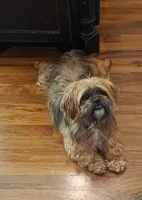 processed/05f6d46f-b14d-4c45-822f-3c882698373b/facility/d9c0cb2f-4def-4705-9b49-d39a8c2c3215