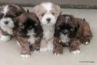 processed/05f6d46f-b14d-4c45-822f-3c882698373b/facility/fac9eff9-2eef-4a59-a770-42237f565d3c