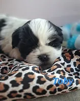 processed/05f6d46f-b14d-4c45-822f-3c882698373b/listing/27c0bc21-416f-45c7-b316-349f2e4fa43b/b3db72a5-16f8-46f9-8fa7-d23945f19725