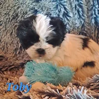 processed/05f6d46f-b14d-4c45-822f-3c882698373b/listing/27c0bc21-416f-45c7-b316-349f2e4fa43b/b552691e-89f7-4079-91b8-bb2e199d165a