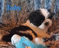 processed/05f6d46f-b14d-4c45-822f-3c882698373b/listing/27c0bc21-416f-45c7-b316-349f2e4fa43b/e46e8666-3a4f-489e-8be9-9467d5b577e4