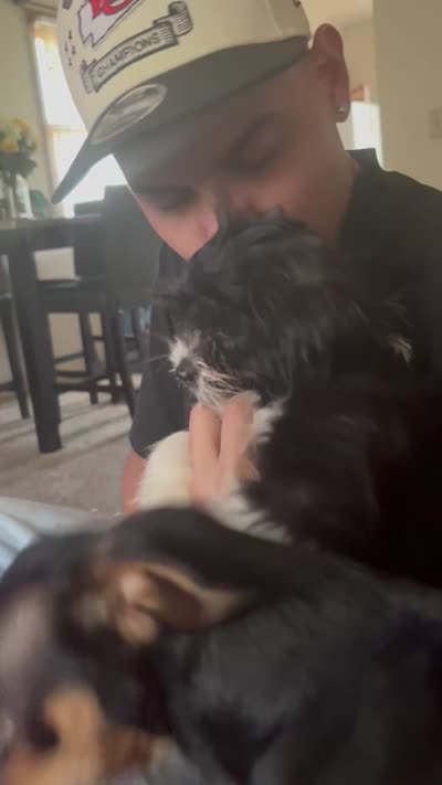 Nena, a female Shih Tzu for sale in Kansas City, KS – 2 of 2