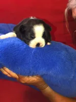 processed/0600219a-9182-4e50-907f-244fc4927873/facility/5786da01-148d-403b-9f34-6cf2ed987134