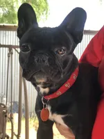 processed/0600219a-9182-4e50-907f-244fc4927873/facility/7cdfad02-0240-4984-90b2-a6c18ca9e74e