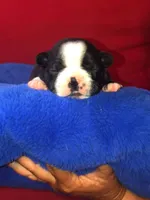 processed/0600219a-9182-4e50-907f-244fc4927873/facility/9cddf933-7f2b-4148-87f8-8815eb1732f5