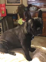 processed/0600219a-9182-4e50-907f-244fc4927873/facility/c55ffe61-c03d-4074-aa72-862bf7c04df7