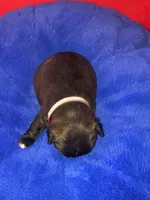 processed/0600219a-9182-4e50-907f-244fc4927873/facility/c9a29653-9d30-4fec-9626-5c5744cff3e2