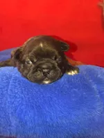 processed/0600219a-9182-4e50-907f-244fc4927873/facility/c9d535e7-d589-4d2f-bc2f-c3ee13922cff