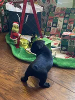 processed/0600219a-9182-4e50-907f-244fc4927873/listing/450034ca-4695-4fec-b9d0-4ab9e9f48653/0b1e413a-44ee-420e-902f-2dd9cfe78895