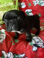 processed/0600219a-9182-4e50-907f-244fc4927873/listing/450034ca-4695-4fec-b9d0-4ab9e9f48653/61becd9f-8cef-453a-a43f-2c127ffe3b2d