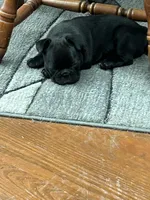 processed/0600219a-9182-4e50-907f-244fc4927873/listing/450034ca-4695-4fec-b9d0-4ab9e9f48653/7bcb9c55-9297-43ce-afc7-cfae50ce2ecd