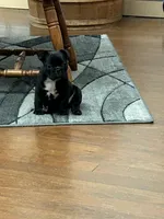 processed/0600219a-9182-4e50-907f-244fc4927873/listing/450034ca-4695-4fec-b9d0-4ab9e9f48653/81695437-c973-40ad-bb8b-67c15e026f6e