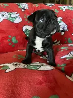 processed/0600219a-9182-4e50-907f-244fc4927873/listing/450034ca-4695-4fec-b9d0-4ab9e9f48653/82ebaf64-7bab-48eb-a7b5-b1ba4b32b545