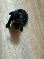 processed/0600219a-9182-4e50-907f-244fc4927873/listing/450034ca-4695-4fec-b9d0-4ab9e9f48653/c75d9d85-113a-4ef3-9f91-52438955e5bc