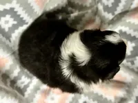 processed/06056297-f0fe-43d9-b3f4-9fe207d8be6a/listing/00076701-3510-442e-9f0e-23d9ee2dbf24/ce0fa418-ad86-4d15-8c43-8b951254c4bd