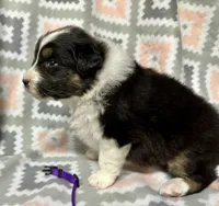 processed/06056297-f0fe-43d9-b3f4-9fe207d8be6a/listing/00076701-3510-442e-9f0e-23d9ee2dbf24/e0eb3533-a539-4116-9029-1274e171b073