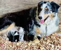 processed/06056297-f0fe-43d9-b3f4-9fe207d8be6a/listing/21b7e32e-3977-45af-a623-9acb5b08fff0/286b11d3-5e4e-4897-a857-6d4089fad082