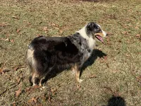 processed/06056297-f0fe-43d9-b3f4-9fe207d8be6a/listing/21b7e32e-3977-45af-a623-9acb5b08fff0/312ee4df-9d82-4bed-83d3-a1824c367fda