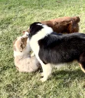 processed/06056297-f0fe-43d9-b3f4-9fe207d8be6a/listing/21b7e32e-3977-45af-a623-9acb5b08fff0/330b0b02-c1eb-46d7-b022-b831b68aeae4