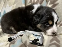 processed/06056297-f0fe-43d9-b3f4-9fe207d8be6a/listing/21b7e32e-3977-45af-a623-9acb5b08fff0/412f17e2-13f7-4ac4-89e4-c79dbdfbd23e