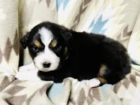 processed/06056297-f0fe-43d9-b3f4-9fe207d8be6a/listing/21b7e32e-3977-45af-a623-9acb5b08fff0/c482fb4a-f5fb-40e6-bccd-4f0d42b70508