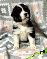 processed/06056297-f0fe-43d9-b3f4-9fe207d8be6a/listing/47348e53-fe82-49a6-84b7-d4694b83f2fd/5f4b5deb-cef1-4b41-ac7b-9e540d4436f4