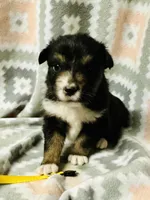 processed/06056297-f0fe-43d9-b3f4-9fe207d8be6a/listing/9a8e1a71-4398-4554-9be3-50b91e51ffce/28d22022-8292-4330-842b-d41dcd272c2d