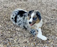 processed/06056297-f0fe-43d9-b3f4-9fe207d8be6a/listing/9b2eff7b-ec68-41a0-b858-d746fee91e37/0f5dd7a4-3c67-4d0d-8ad4-779e49d082de