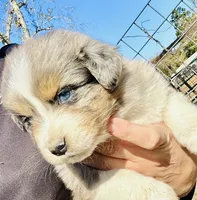 processed/06056297-f0fe-43d9-b3f4-9fe207d8be6a/listing/9b2eff7b-ec68-41a0-b858-d746fee91e37/1e100b05-66bb-4d00-a066-e50418f67343