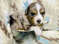 processed/06056297-f0fe-43d9-b3f4-9fe207d8be6a/listing/9b2eff7b-ec68-41a0-b858-d746fee91e37/2a4a785c-93a4-477f-b087-755d0cf17bf9