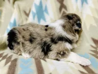 processed/06056297-f0fe-43d9-b3f4-9fe207d8be6a/listing/9b2eff7b-ec68-41a0-b858-d746fee91e37/40ac873e-fb37-4fa0-8ee9-b69ee406185a