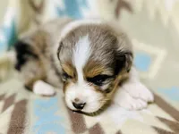 processed/06056297-f0fe-43d9-b3f4-9fe207d8be6a/listing/9b2eff7b-ec68-41a0-b858-d746fee91e37/8eac4a7c-dc48-43e9-9204-7d4a7bd01a74