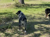 processed/06056297-f0fe-43d9-b3f4-9fe207d8be6a/listing/9c193bd8-2b3e-40ca-bdc6-bbd8eda5de93/187615e2-ff41-4ff2-b9ee-58106a7b3bbd